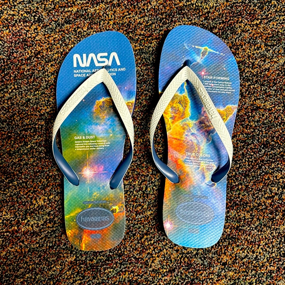 NWOT NASA FLIP FLOPS